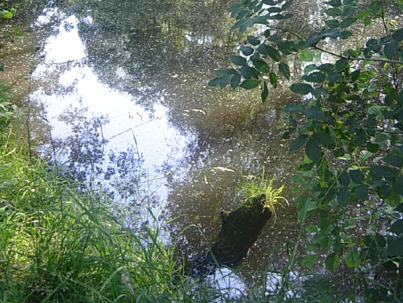 groene accenten...