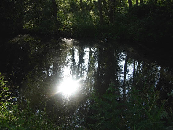 het water bijna zwart...