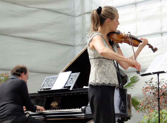 van veen en stegeman
