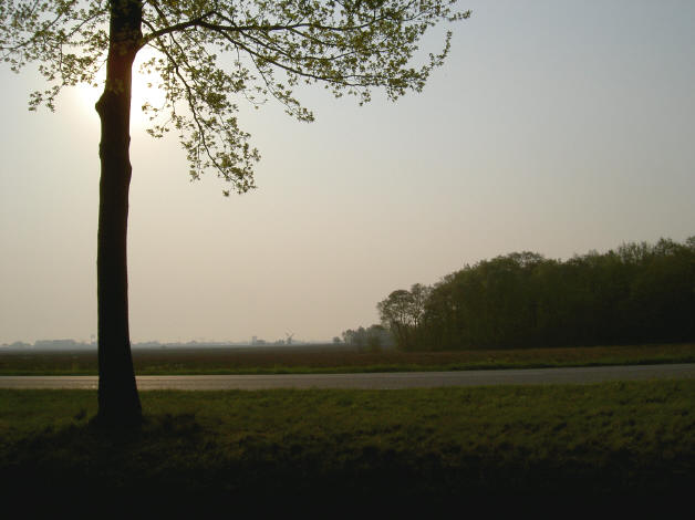 's morgens...