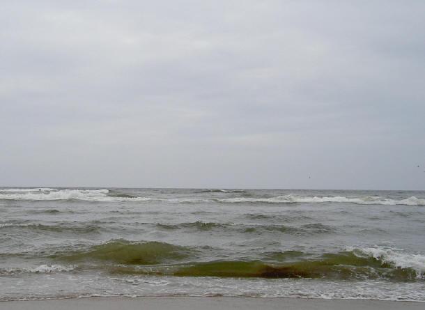 de grijze noordzee...