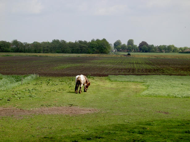 in de zon...