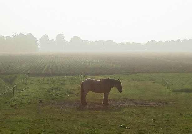 17 mei 's morgens...