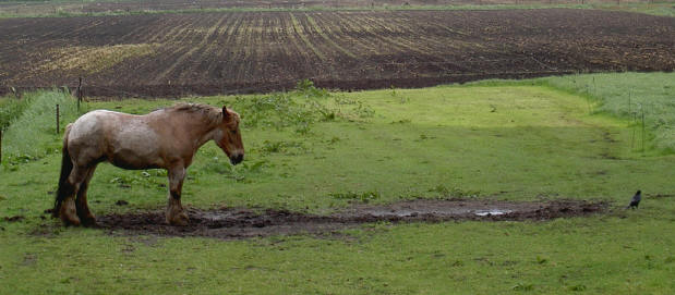 19 mei 2006