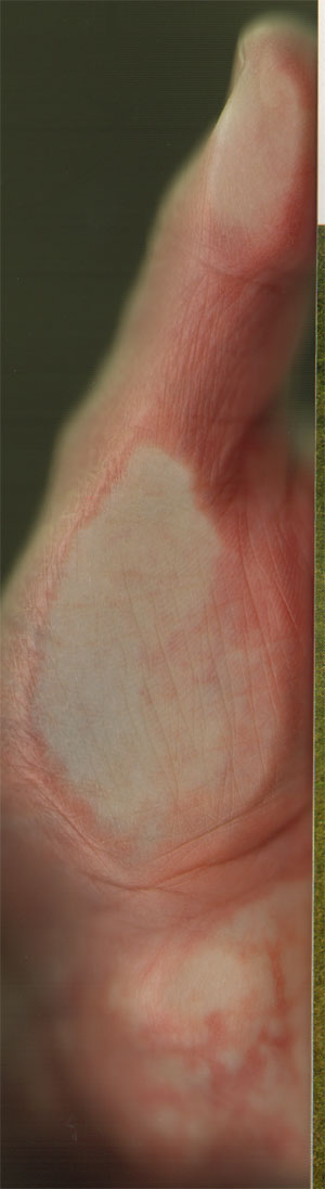 de muis van de hand...