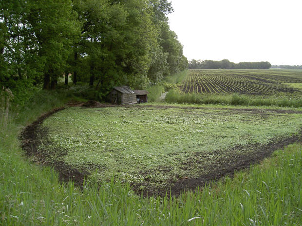 30 mei 's morgens...