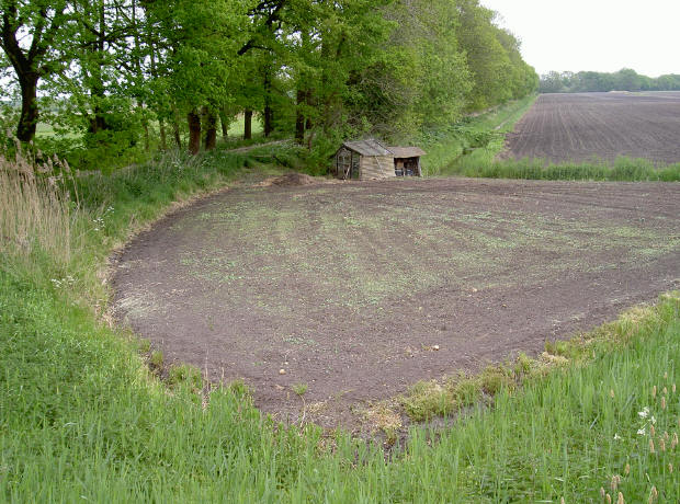 15 mei 's middags, met ander licht...