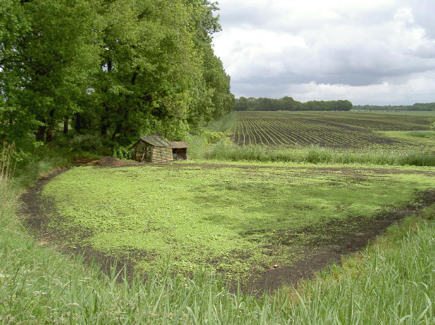 27 mei