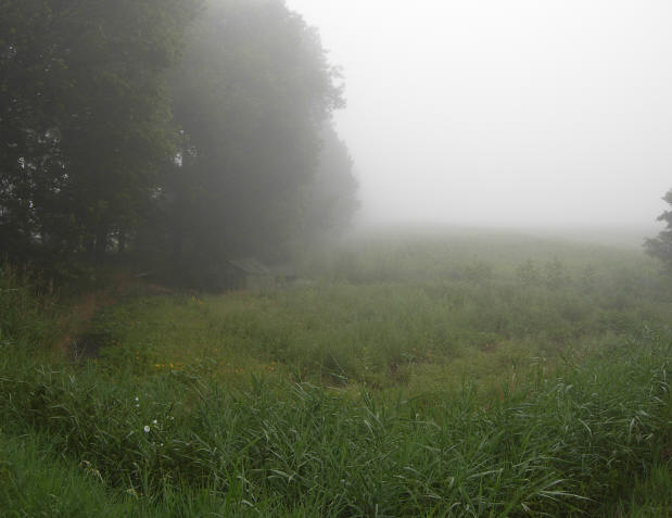 akker in de mist...