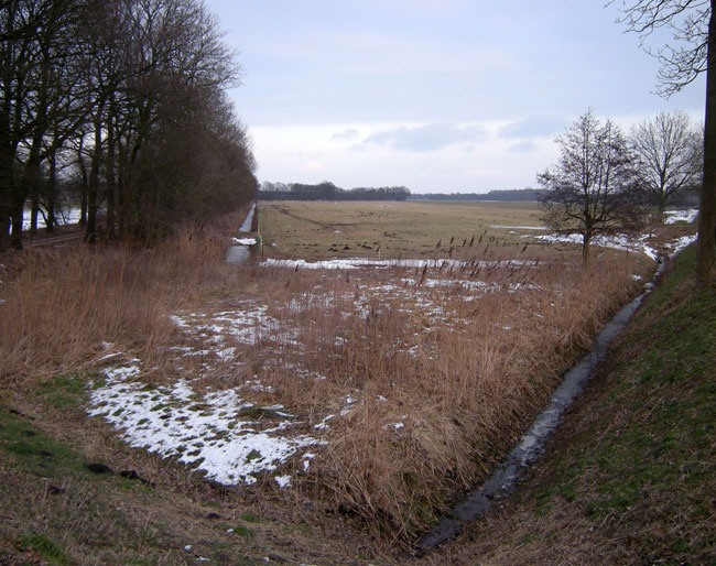 februari 2010