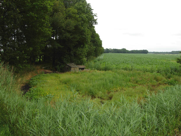 12 juli