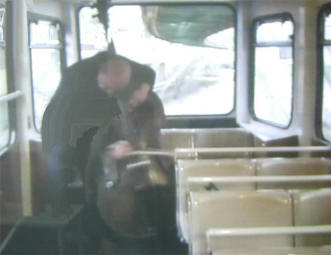 cellist