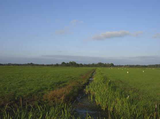 ook dit is drents landschap...