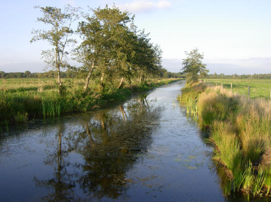 het bruggetje waar we hier op stonden was eigenlijk te smal voor fietsers...