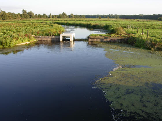 cultuurlandschap...