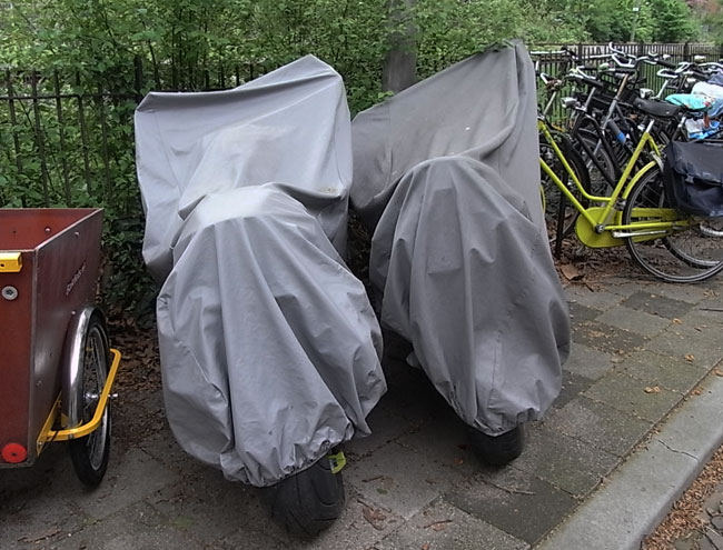 twee grijze broeders...