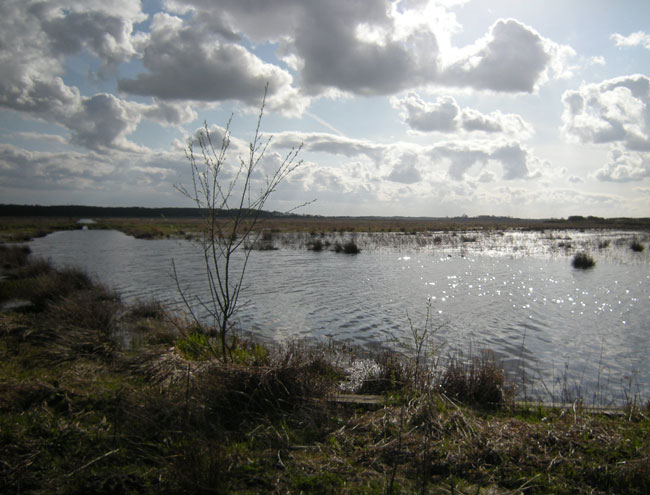 begin april 2010