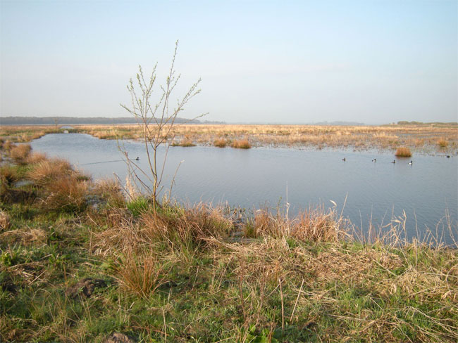 12 april 2010