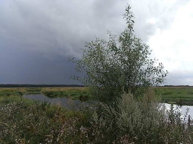 regen in de lucht, augustus 2010