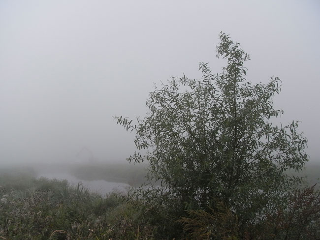 mist in de polder, augustus 2010...