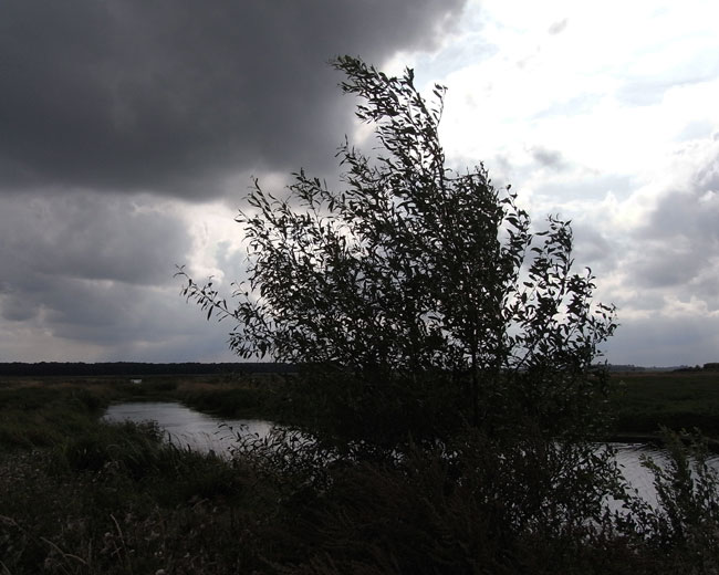 onweer in de lucht, augustus 2010
