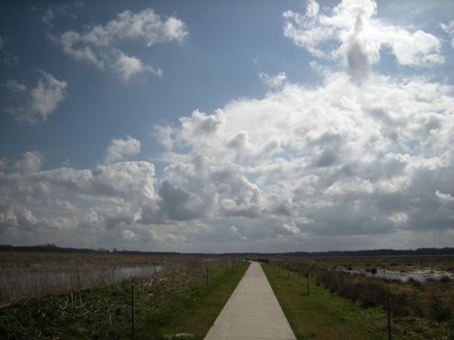 lente 2010