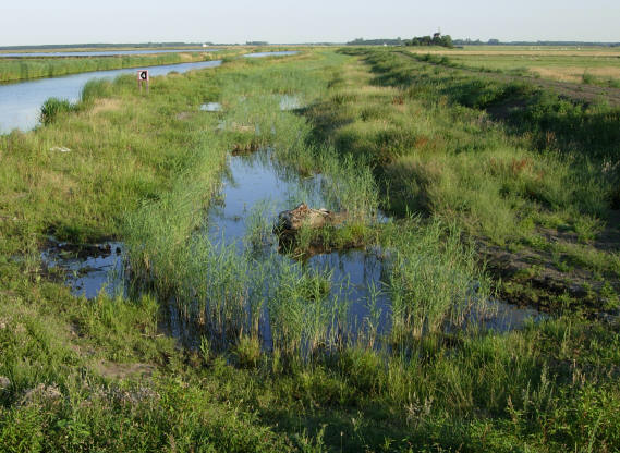 zicht vanaf een bruggetje