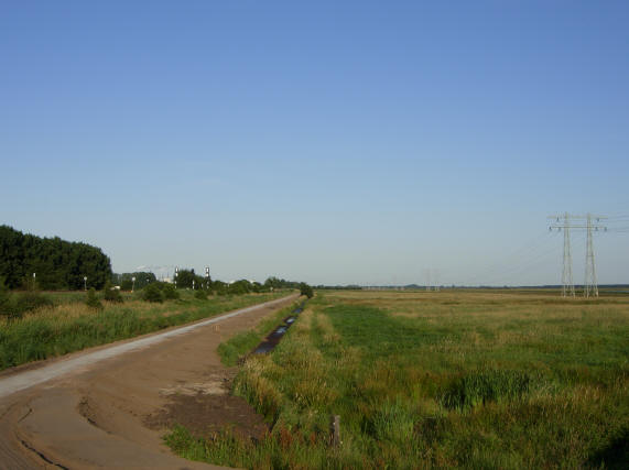 weidse verten
