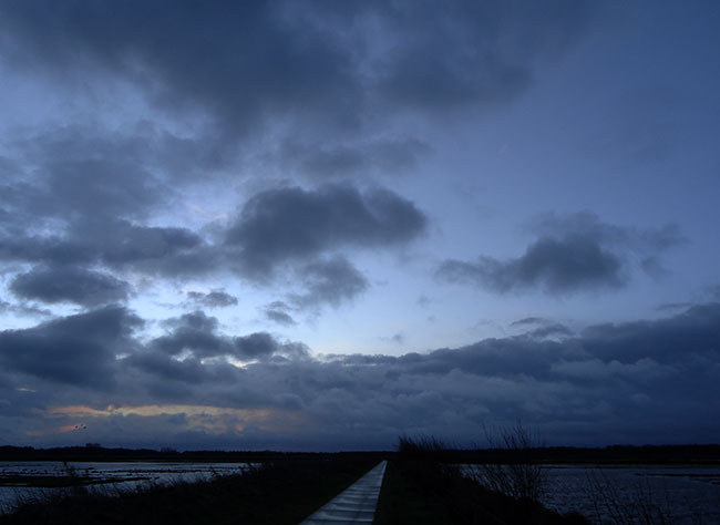 januari 2015