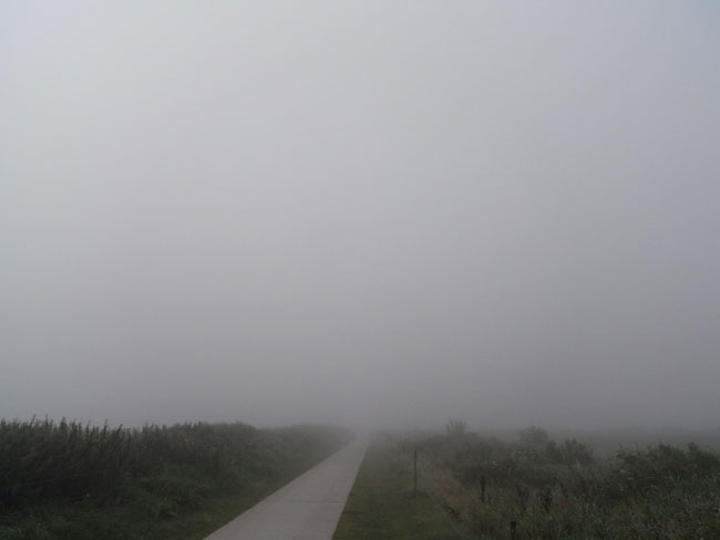 mist in de polder, augustus 2010