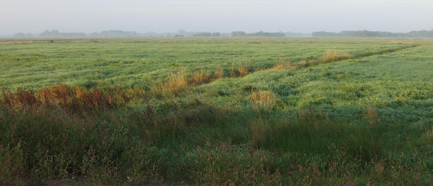 blik op de polder