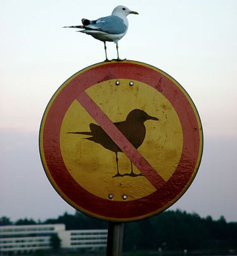 het bord is op zich al apart...