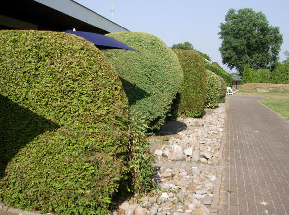 nummer twee...