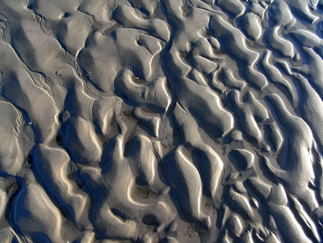 het strand van schier...