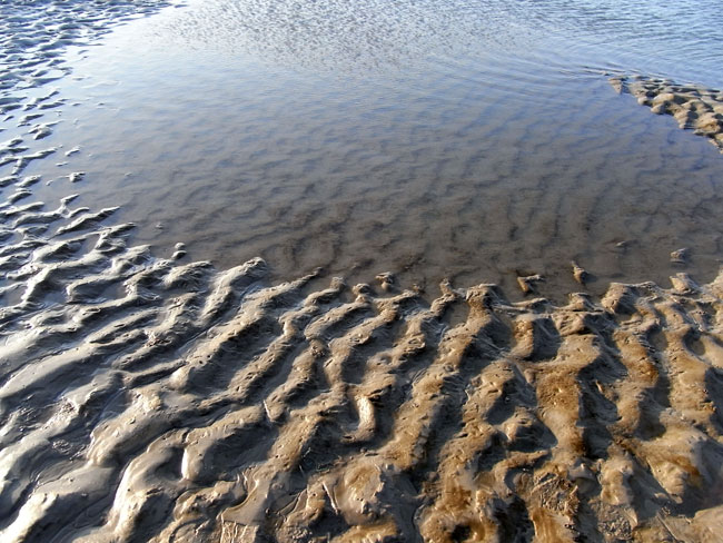 zand- en zeekunst...