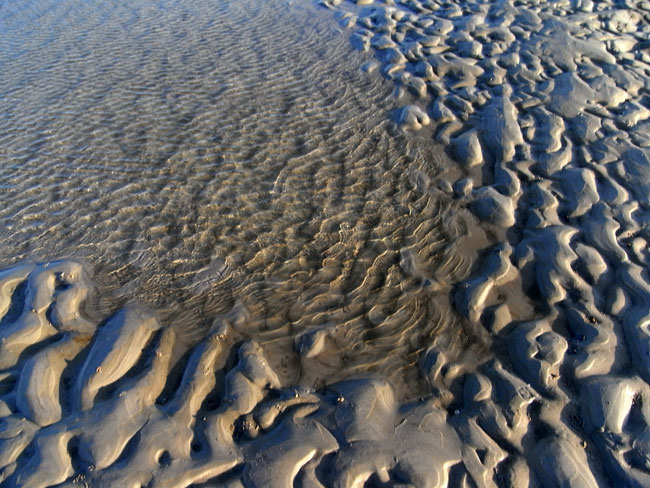 met als contrast de lichtrimpelingen in het water...