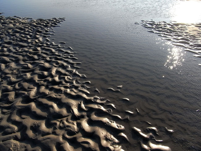 de rand van de zee...