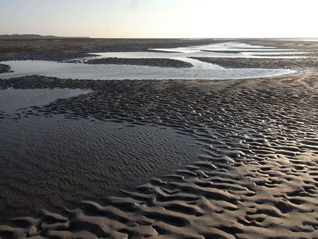 het strand van schiermonnikoog...
