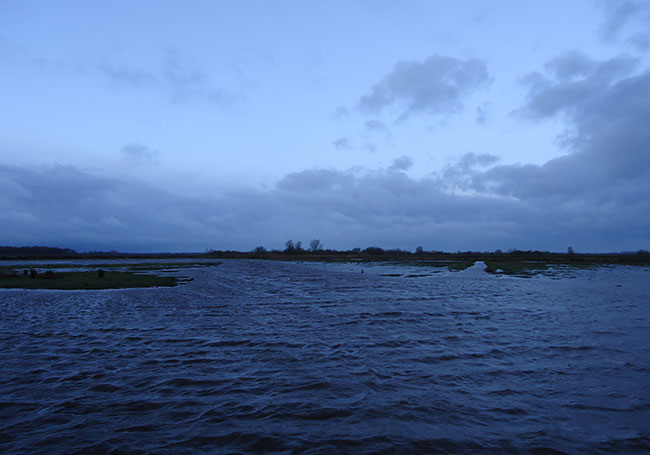 januari 2015