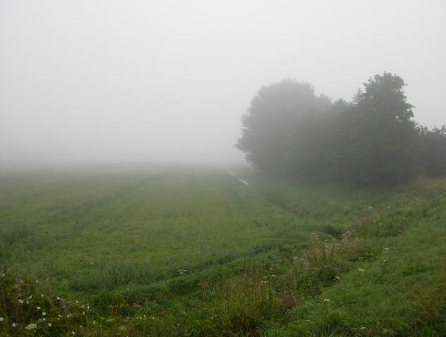 op sommige plekken bleef de mist wat langer hangen...