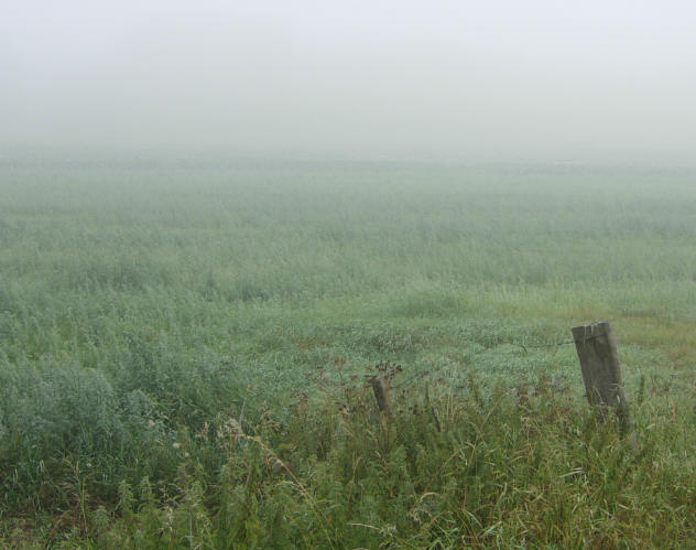 tinten groen...