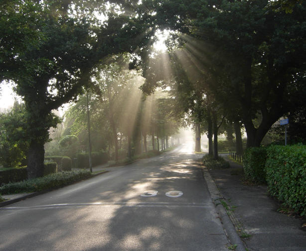 oosterhaar...