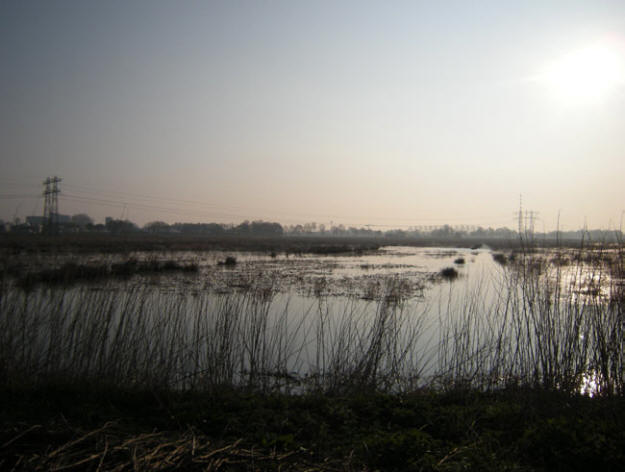 begin april 2010