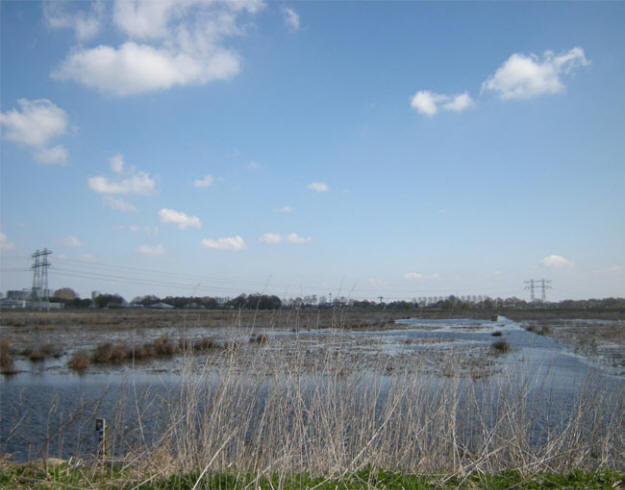 14 april 2010