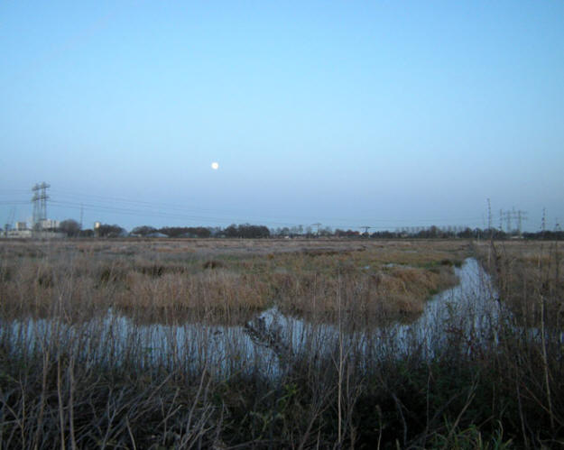 eind december 2009