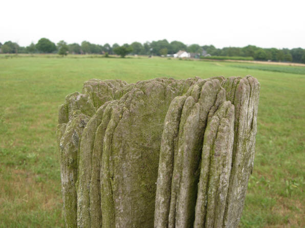 natuurkunst...