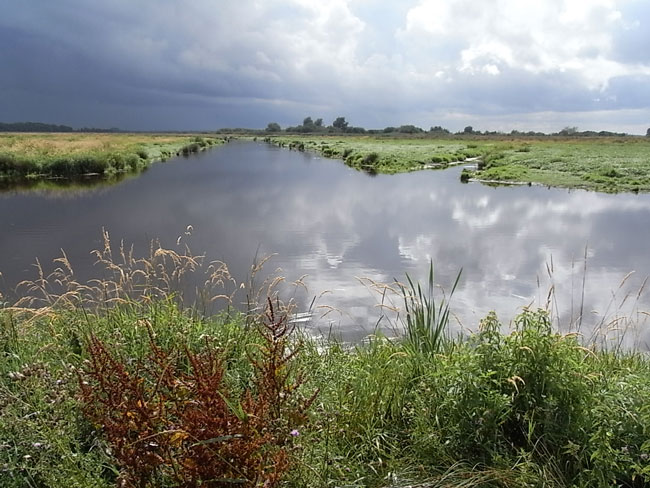 water en polder...