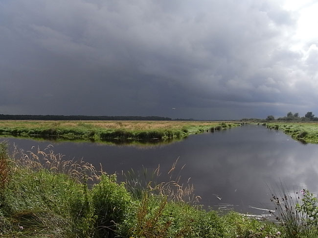 zwaan in de lucht...