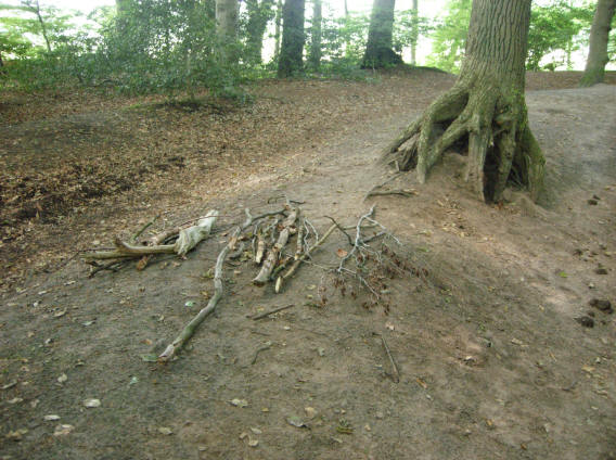 als je je omdraait wandelt hij weg...