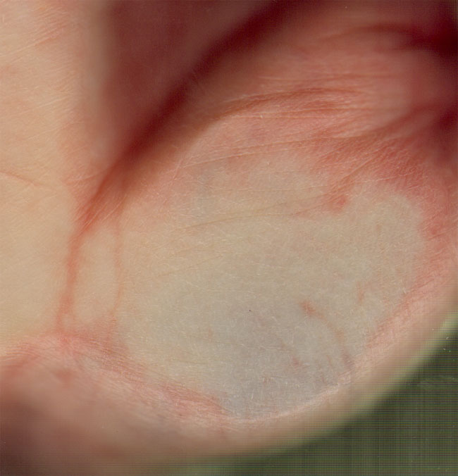 muis van de hand...